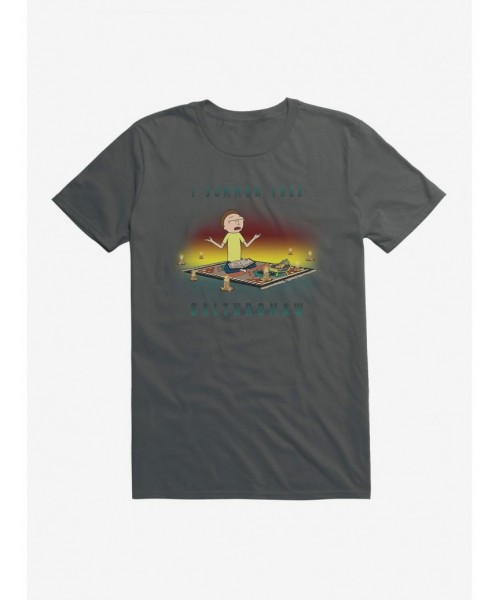 Discount Rick And Morty I Summon Thee Balthromaw T-Shirt $8.03 T-Shirts