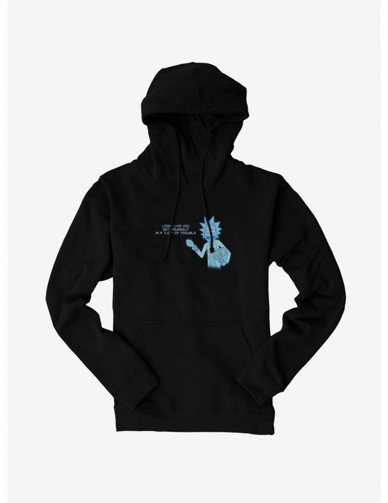 Sale Item Rick And Morty Lick Of Trouble Hoodie $12.93 Hoodies