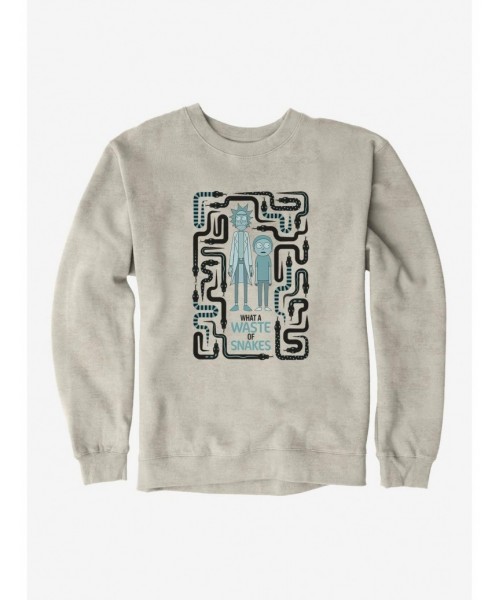 Flash Deal Rick And Morty Waste Of Snakes Sweatshirt $13.28 Sweatshirts
